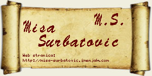Miša Šurbatović vizit kartica